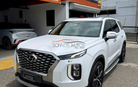 Hyundai Palisade  '2019