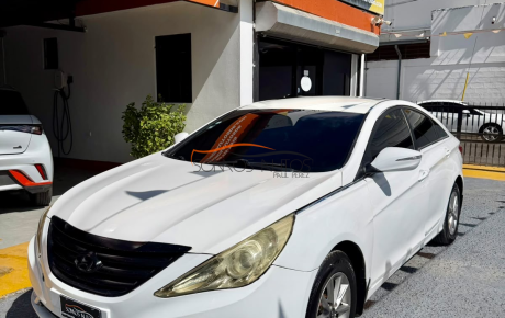Hyundai Sonata Y20  '2013